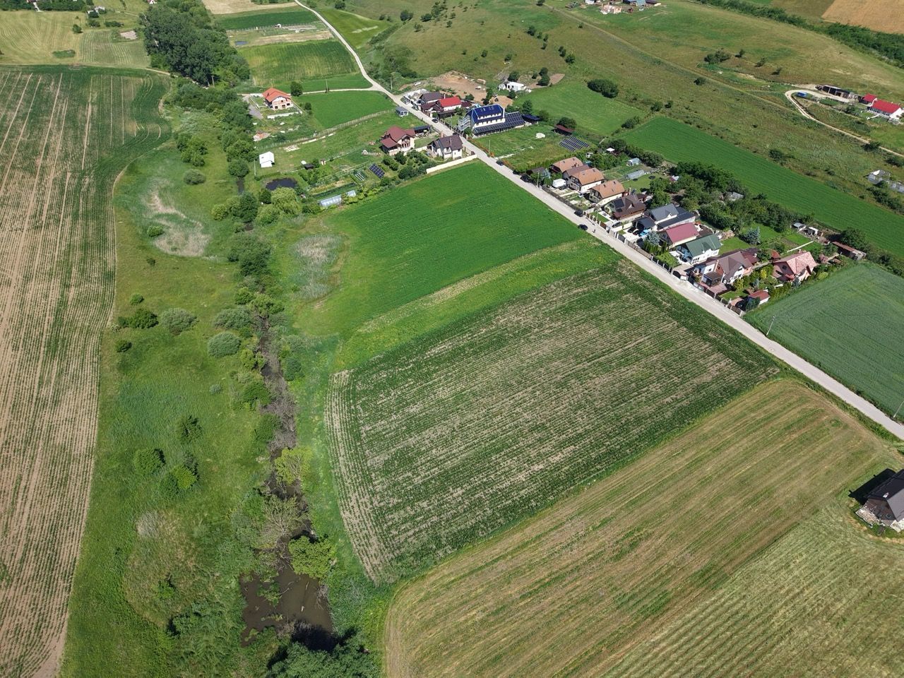 Teren intravilan 10.000 mp, Rotbav (Feldioara) - Poză 6