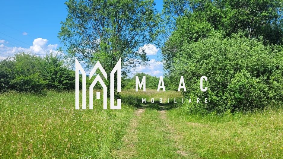 Teren de vanzare I izvor apă minerală  Dangești I 2 Hectare - Poză 1