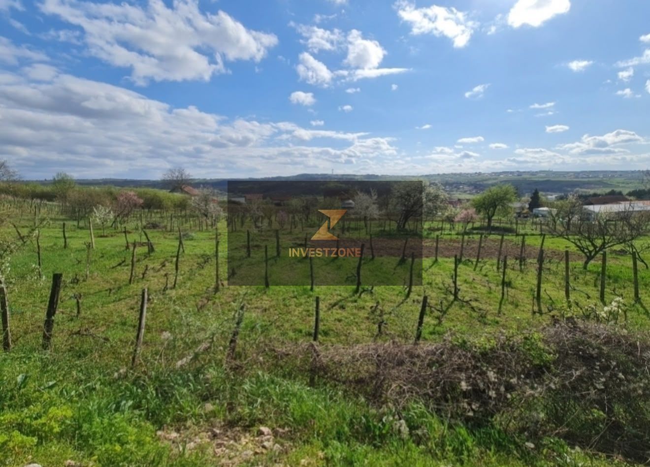 Teren de vânzare în Paleu – 1.107 mp, vis a vis de lac - Poză 2
