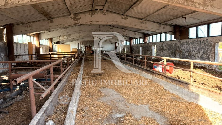 Fermă Sărand | Bihor | 25.659 mp teren intravilan - Poză 10