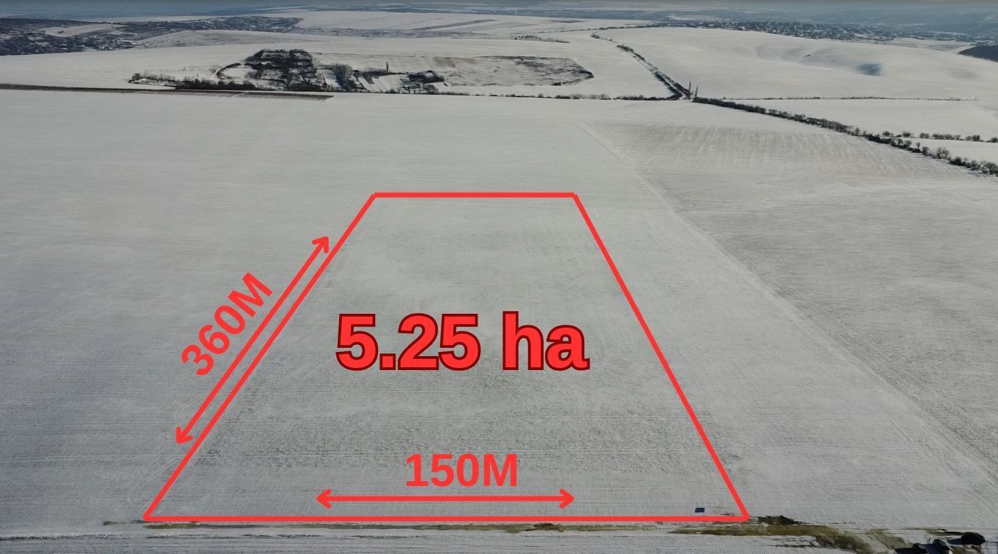 Teren Agricol 5.24 HA com. Cruzești mun. Chișinău - Poză 10