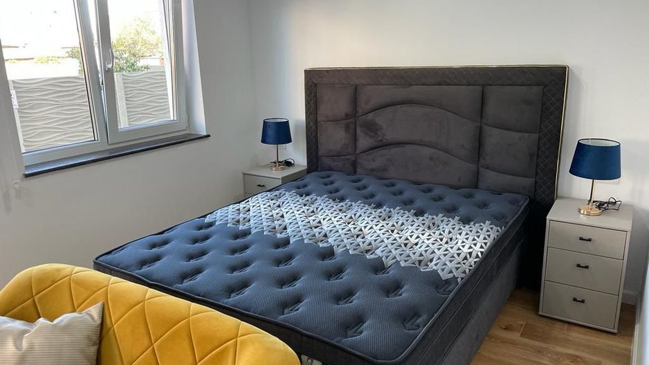 Apartament 1 camera  in Remetea  Mare - Poză 3