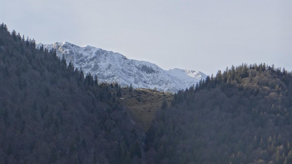 In locatia de basm: - Pestera, Moieciu, Brasov, utilitati, accesibilitate - Poză 15