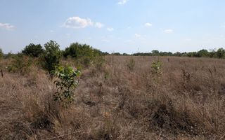 Teren de Vanzare Comuna Ciocanesti Jud Dambovita, 17.7 km de Bucuresti - Poză 2