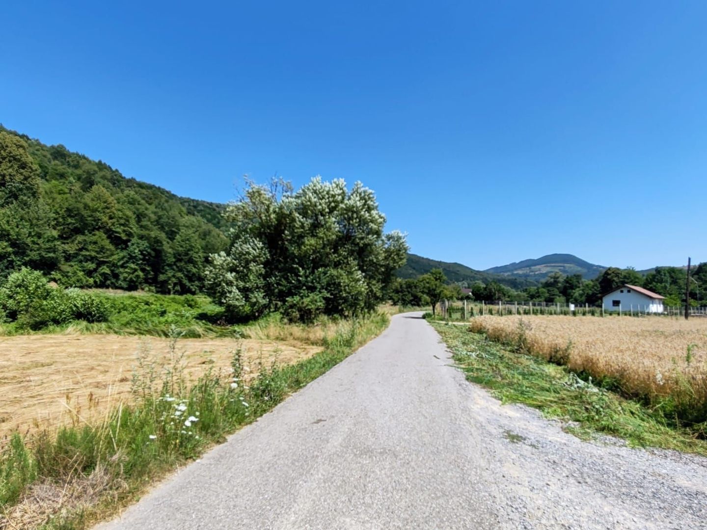 2500 mp TEREN INTRAVILAN IN MUNTII APUSENI, Negreni – Cluj - Poză 5