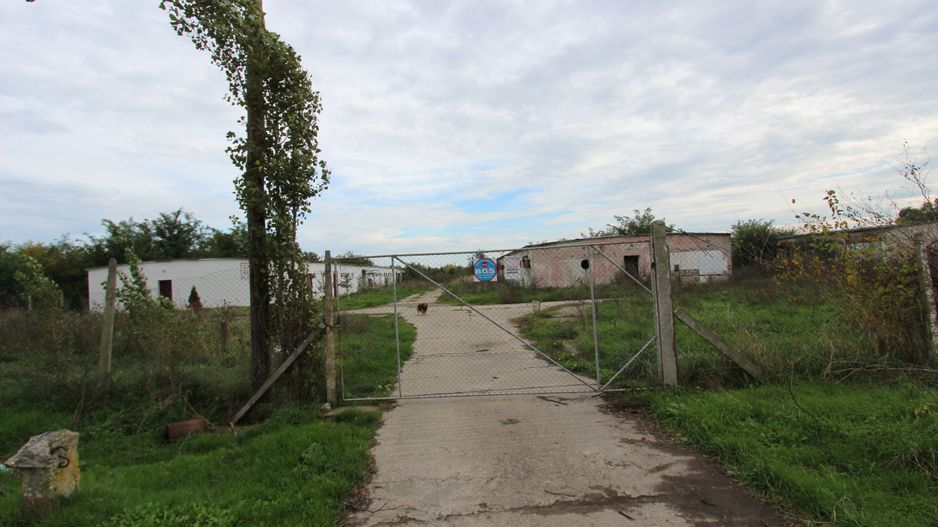 Vanzare hale Mosnita Noua-fosta Ferma 7 - Poză 22