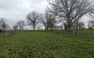 Casă de vânzare în satul Roșia cu vedere panoramică spre Munții Făgăras - Poză 3