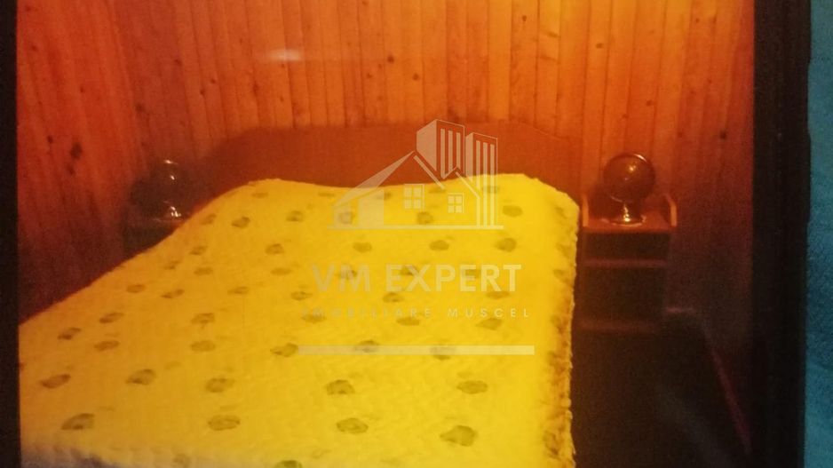 CASA 4 CAMERE, TEREN 290 MP, RUCAR, ARGES - Poză 10