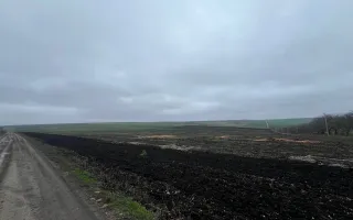 Teren Agricol 13,57 HA com. Cruzești mun. Chișinău - Poză 11