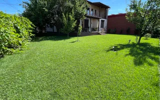 Casa eleganta si luminoasa, situata in zona de case - Mehala - Poză 41