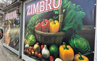 Vânzare trei module stradale în Rond Zimbru, Iași, împreună cu firma - Poză 1