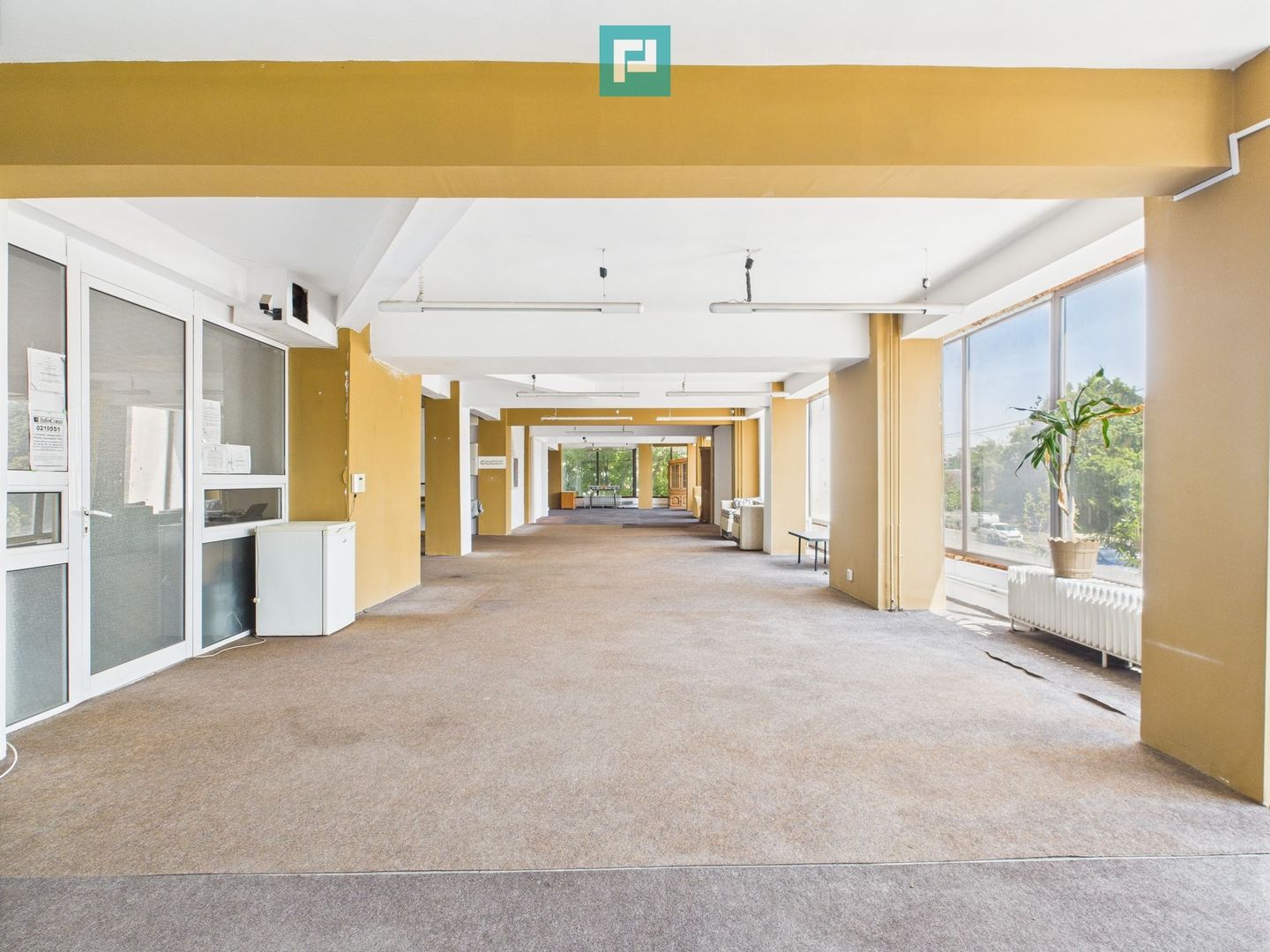 SAD – Calea Aradului, vad excelent - Poză 1