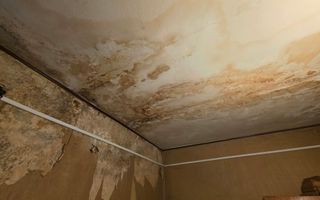 Apartament 3 camere Creiului et 4 - Poză 5
