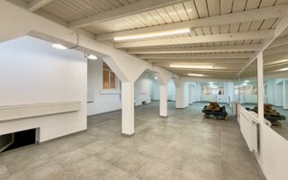 Vila spatioasa | Complet renovată | Central - Poză 4