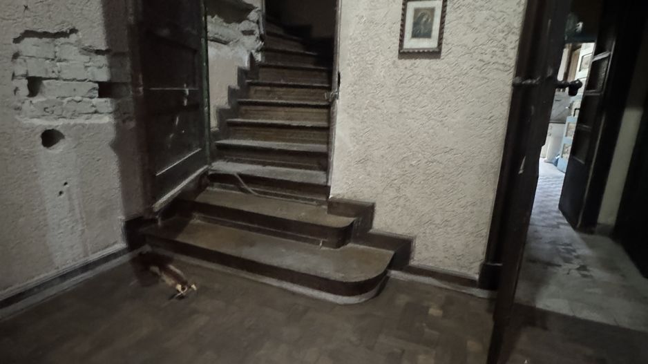 Casa-Curte proprie | Plantelor | - Poză 7