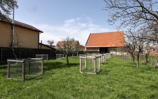 Casă Săsească Autentică cu Șură Impresionantă în Cristian – Teren 2729mp - Poză 9