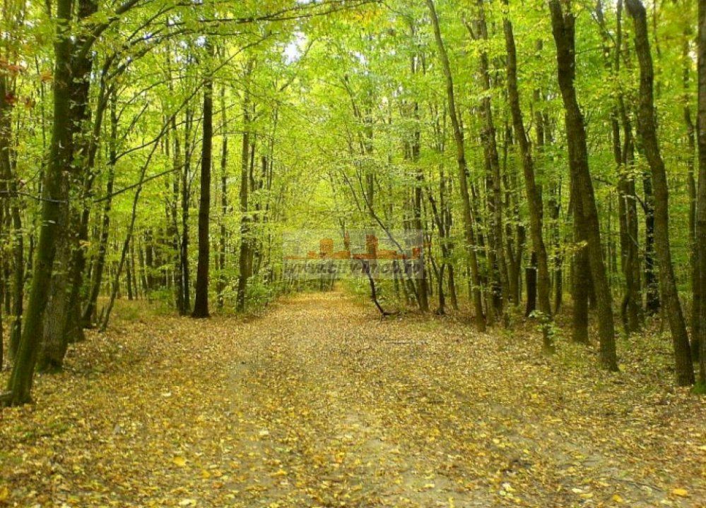Teren de vanzare Cocani, Crevedia, langa  padure Dambovita - Poză 4