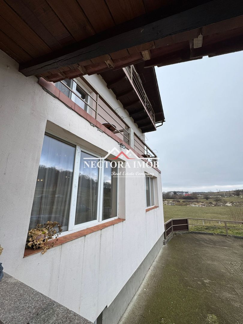 NECTORA IMOB-Pensiune Baile Felix, 16 camere, 723 mp + 4460 mp teren - Poză 15