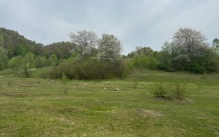 TEREN EXTRAVILAN 40000 MP, ALBESTI DE MUSCEL, CANDESTI - Poză 14