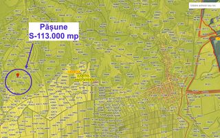 Pășune 11,3 ha – Vărădia, Caraș-Severin – 6.000 €/ha - Poză 3