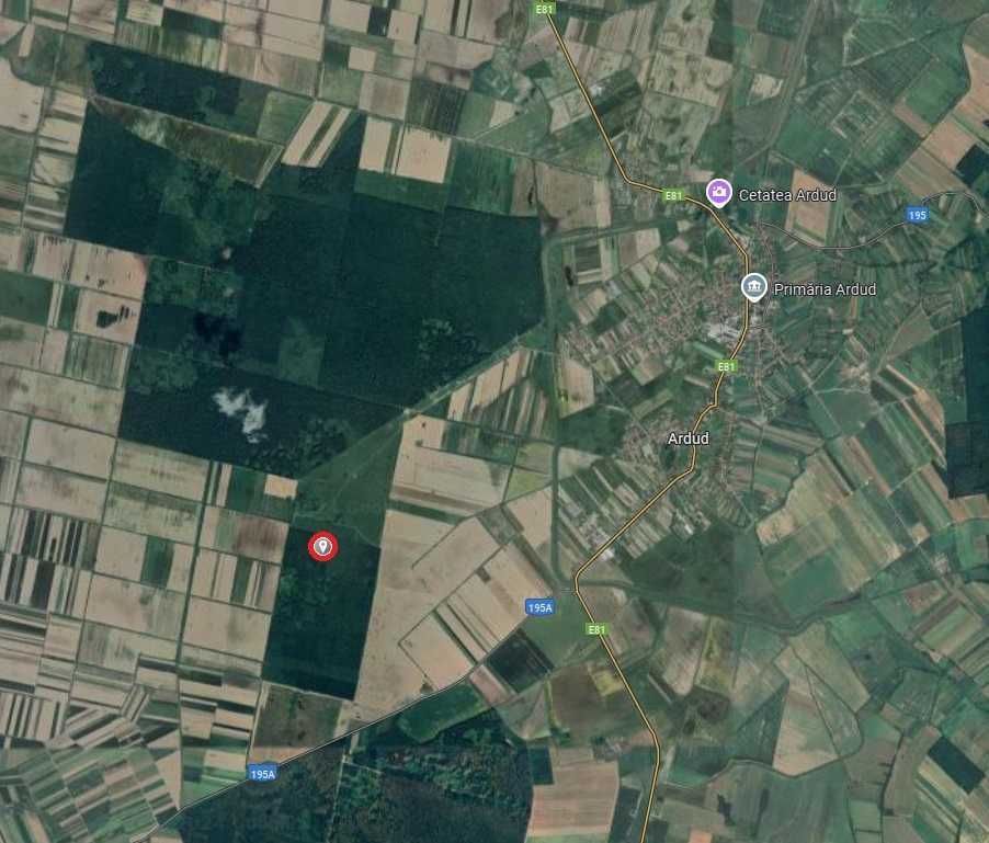 Teren arabil si padure de vanzare - Poză 2