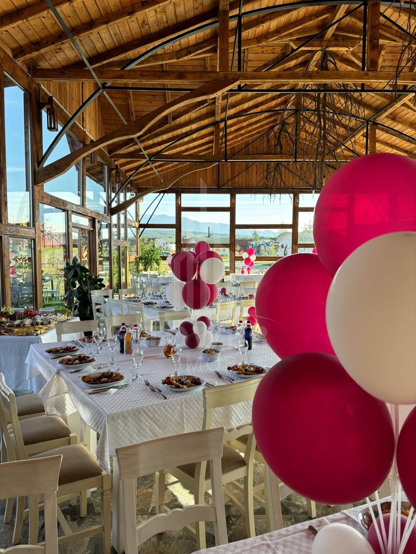 Închiriere Spațiu Comercial – Restaurant - Valea Avrigului - Poză 3