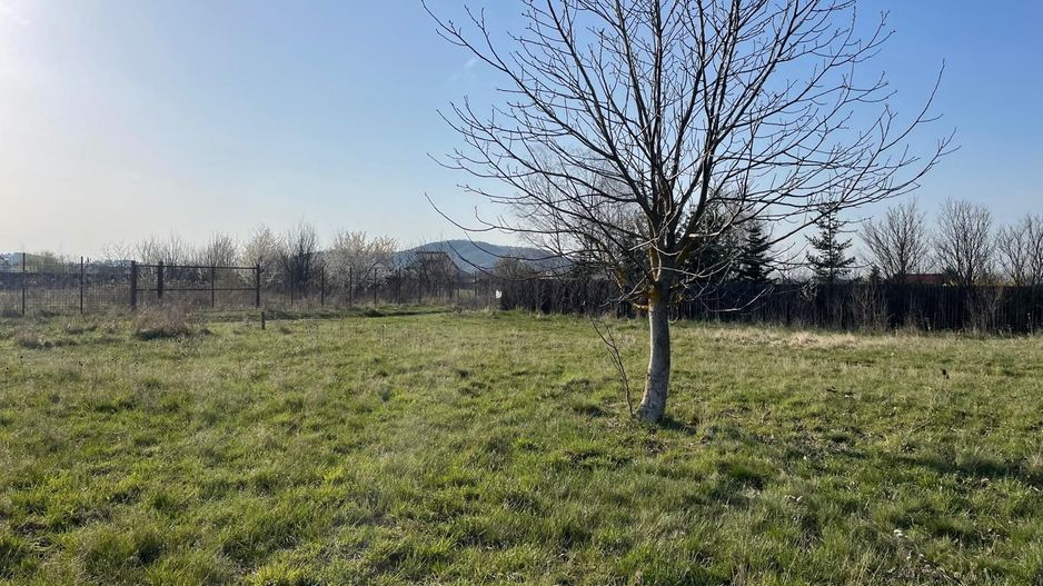 Teren intravilan de vanzare - Harman - 1000 mp - Poză 8