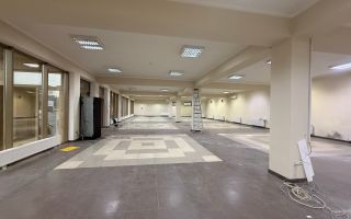 Chirie, spațiu comercial, 460 mp, str. Ștefan Vodă, Vatra - Poză 10