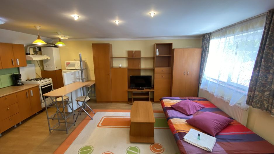 Apartament cu 2 camere/ Grigorescu/ zonă liniștită - Poză 4