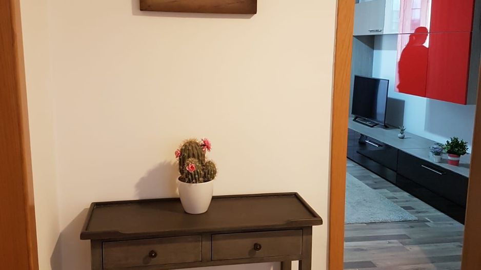 Apartament 2 camere de inchiriat, Pet Friendly, Piata Victoriei - Poză 7
