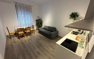 Casa Lipovei transformata in SAD - Poză 4