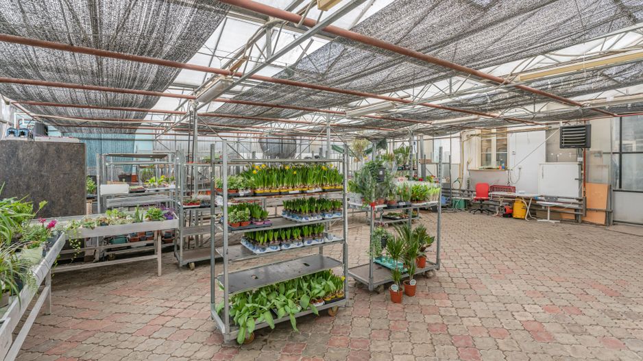 CASA BARTOLOMEU- sediu firma/ comercial/ servicii- zona circulata - Poză 13