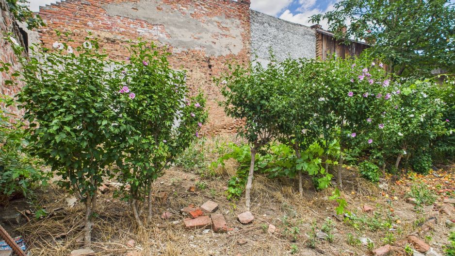 Teren 1.484 mp în zona Iosefin - Poză 10