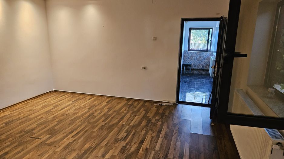 Inchiriere casa nemobilata, Stefanesti - Golesti - Poză 14