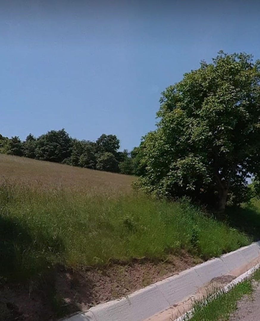 Teren intravilan -Sânișor- 8700 mp - Poză 2