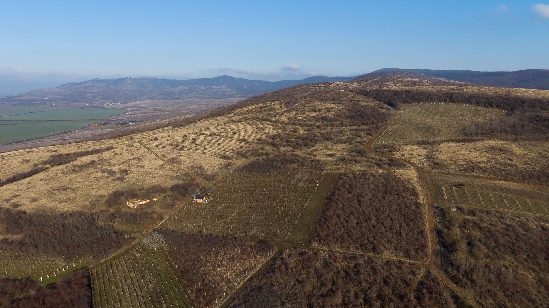 Vita-de-vie Premium  teren de 6800 mp în Covăsinț - Poză 19