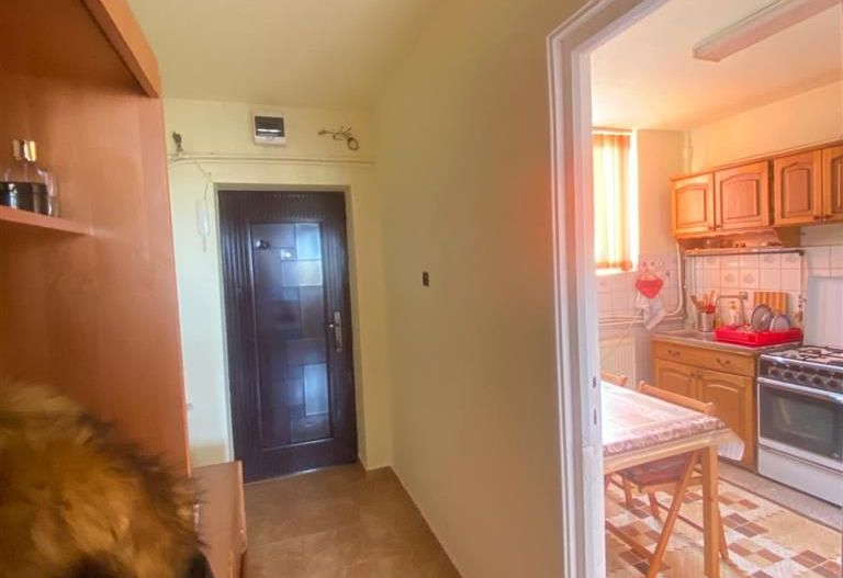 Apartament 3 camere Complex Studentesc - Poză 9