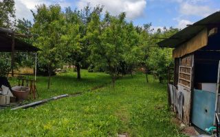 CASĂ DE VÂNZARE 5 CAMERE ÎN OȚELU-ROȘU, \JUD. CS - Poză 23