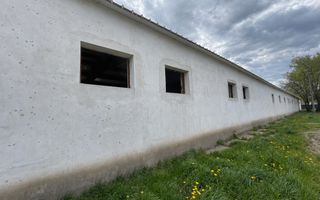 Hala Industrială / Agricolă | 800 MP Construcție + 800 MP Teren | - Poză 9