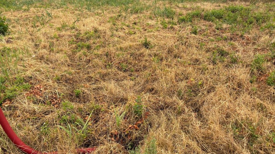 Teren 175 mp in Fratelia - Poză 4