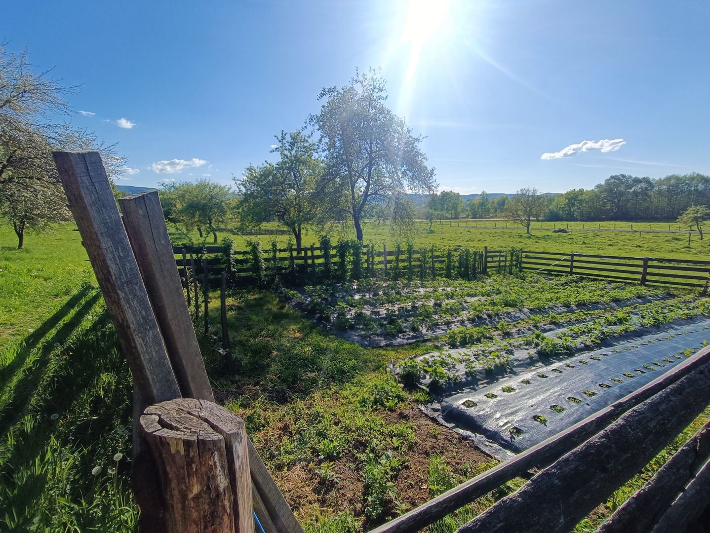 Descoperă căsuța ta de vis la poalele Munților Apuseni - Poză 19