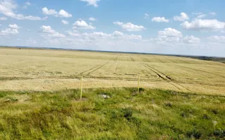 Teren la sosea Ortisoara - Autostrada A1 - Poză 20