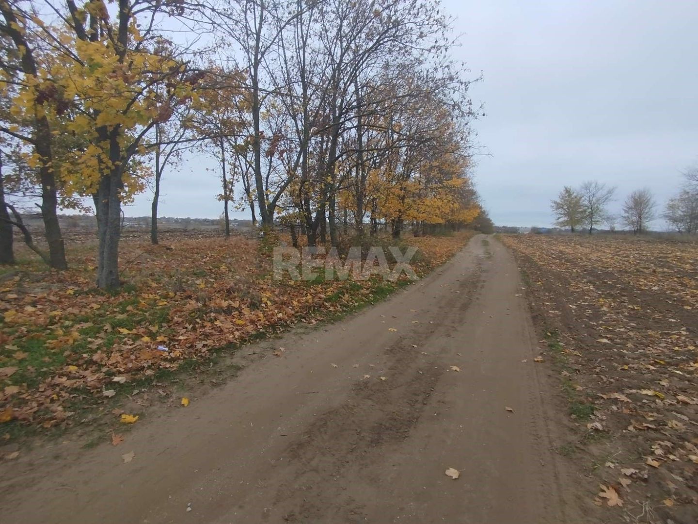 Teren pentru Construcție – 22 Ari | Oportunitate de Investiție | Chetrosu, Anenii Noi - Poză 7