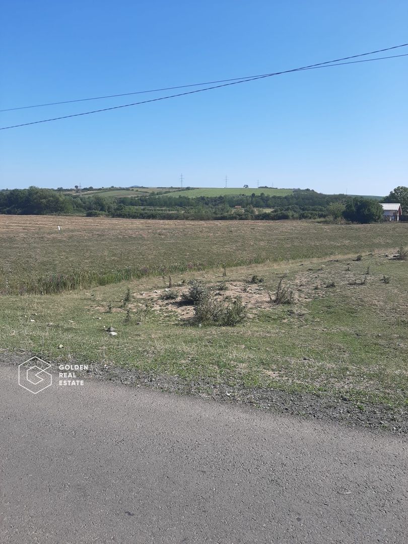 Terenuri 3699 mp, oras Lipova - Poză 1