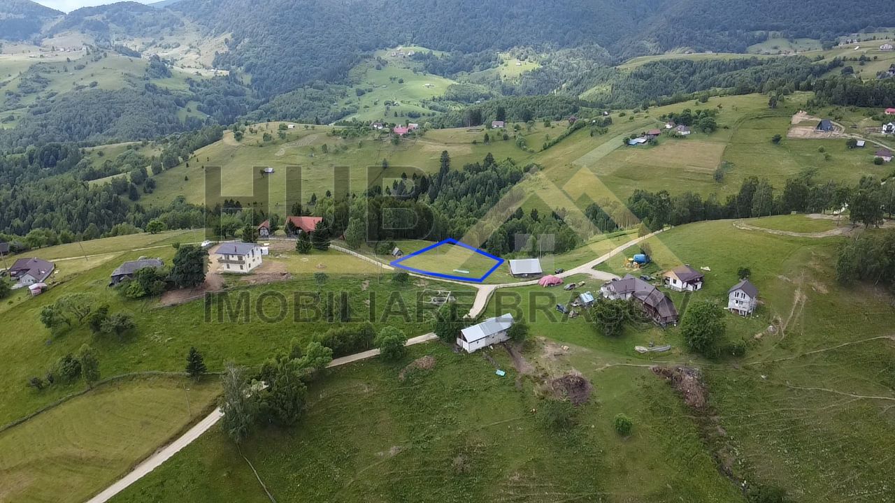 Oportunitate Investitie | Teren Pestera | 4.649mp | Utilitati Gaz/Curent | PUZ - Poză 4