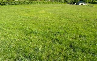 Teren intravilan constructii - Selimbar -Sibiu - Poză 3