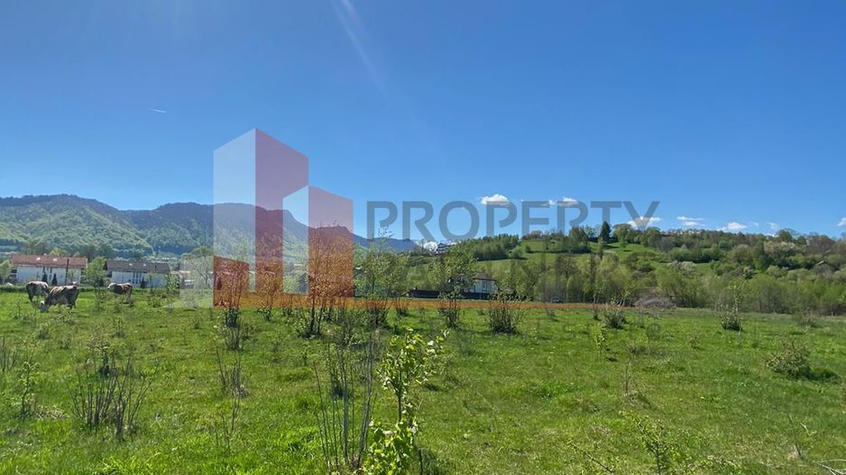 Teren Bran/ Predelut 10.663 mp. - Poză 3