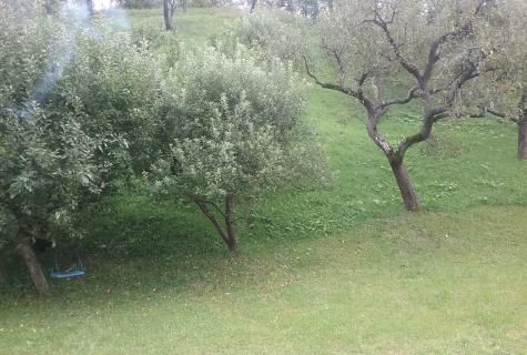 Teren intravilan, Sangeorz-Bai, jud. Bistrita Nasaud - Poză 1