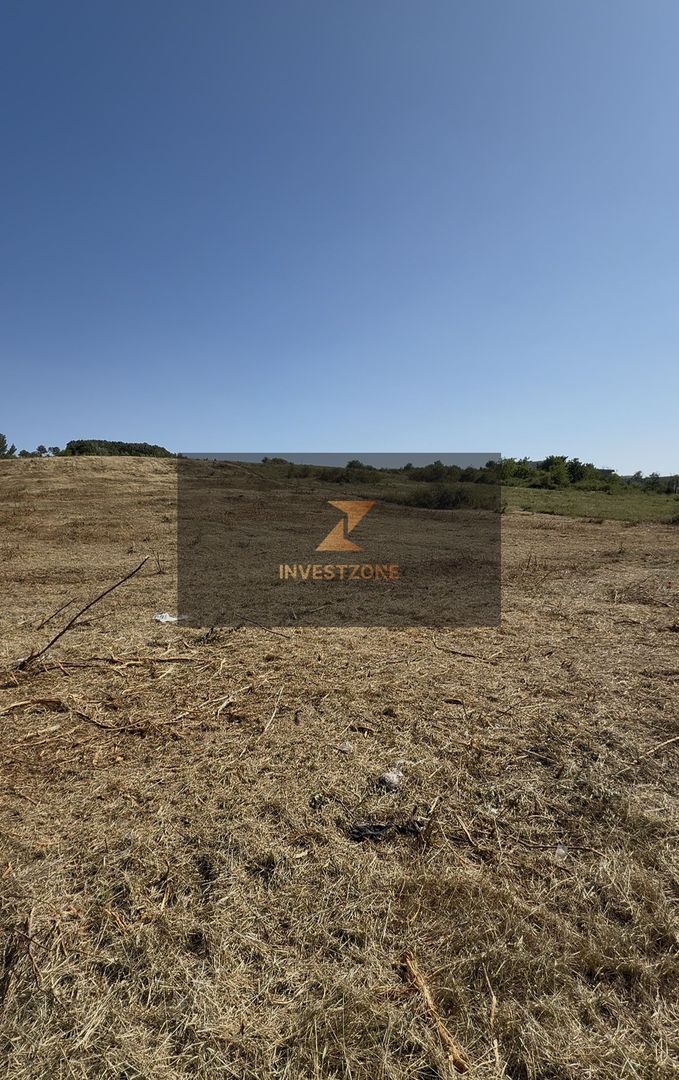 Teren de vanzare, 10.000 mp Oncea aproape de Blue Sky - Poză 3