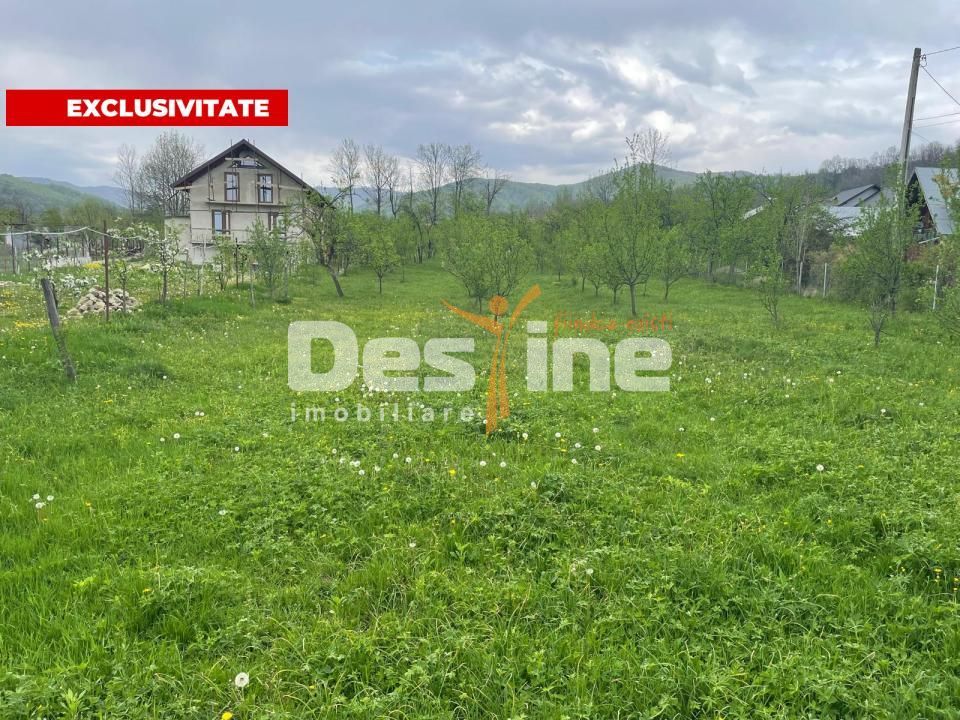 Teren Intravilan 12500 mp Drajna de Sus - Teisani. - Poză 1